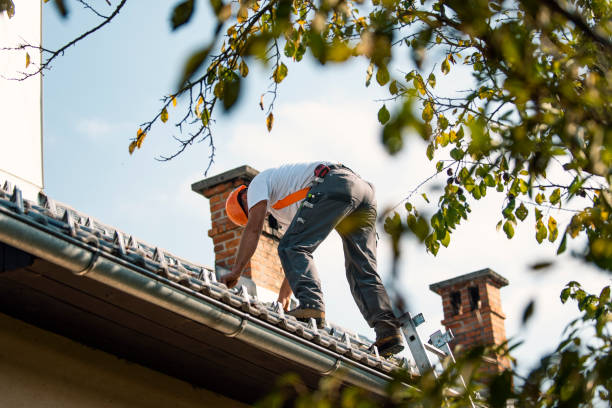 Best Roof Gutter Cleaning  in Del Norte, CO